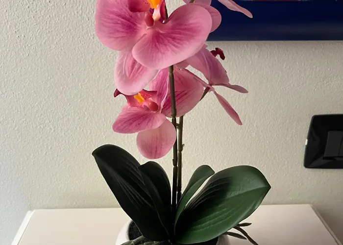 Dimora 4 Spade Maison d'hôtes Vérone