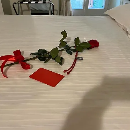 斯帕德4号旅馆 招待所