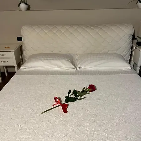 斯帕德4号旅馆