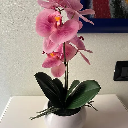 Dimora 4 Spade 게스트하우스 베로나